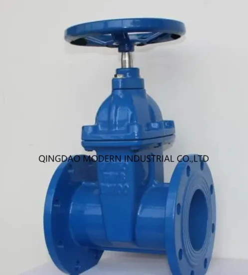 DIN Sanitary DN100/DN300 Pn16 Resilient Wedge Gate Valve for Water